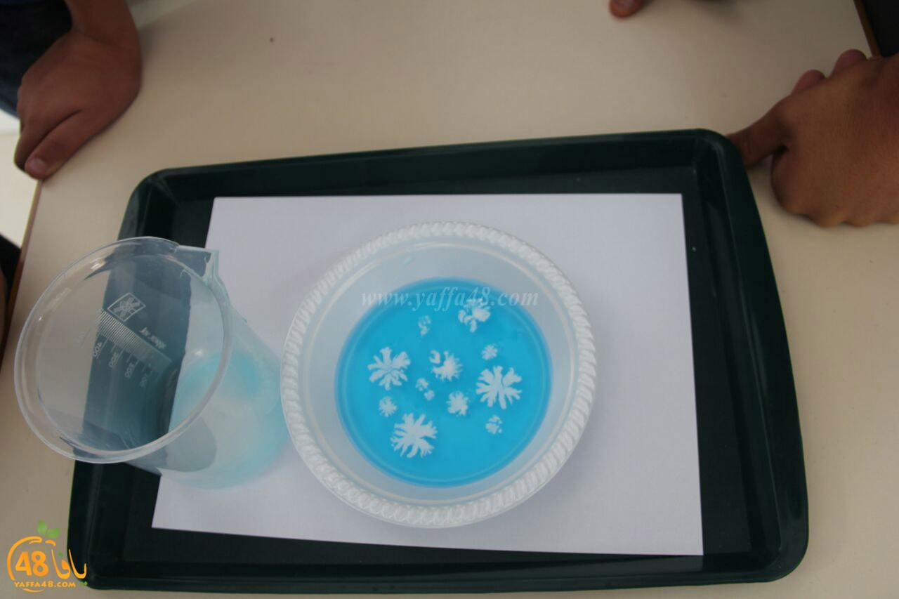 ajyal mashar37 (33).jpg